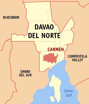 district 2 davao del norte